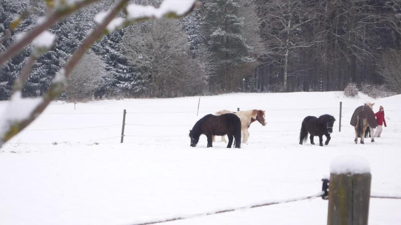 Ferienhof Schlag Waldmunchen Bagian luar foto